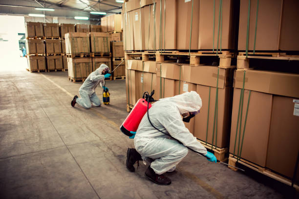 Pest Prevention Services in Central Islip, NY