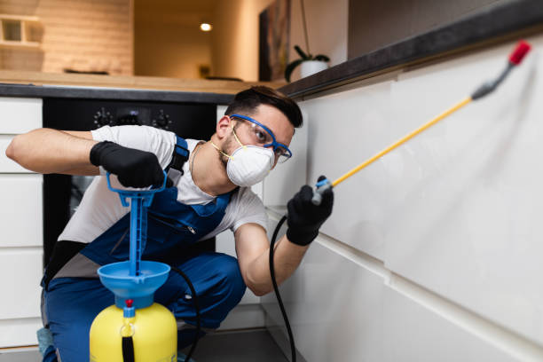 Best Pest Inspection Near Me  in Central Islip, NY