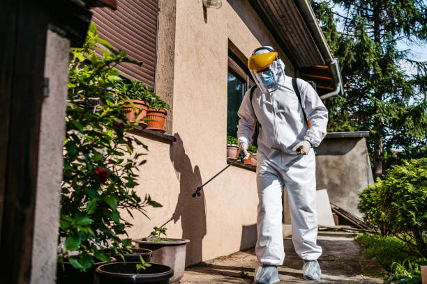 Spider Control Near Me in Central Islip, NY
