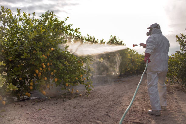 Best Mosquito Control Services  in Central Islip, NY