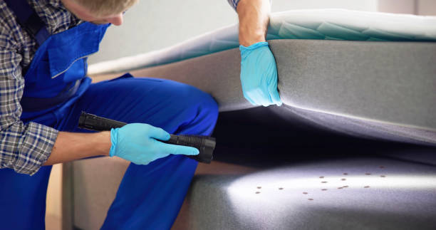 Best Pest Removal Services  in Central Islip, NY